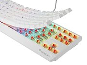 THOR 230 | Mechanical Gaming Keyboard | Wireless | US | White | 2.4 GHz  Bluetooth  USB | Outemu Red