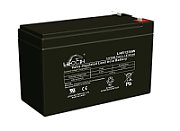 ACCU Leoch LHR1236W