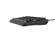 Tastatura gaming mecanica cu fir Genesis Thor 230 TKL, iluminare RGB, switch Linear, switch model Outemu Red, numar taste 87, 11 butoane multimedia, lungime cablu 1.6m, dimensiuni 363 x 155 x 39 mm, negru