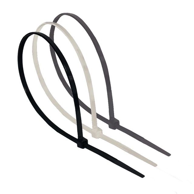 CTS 300-4,8-BU100