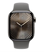 Apple Watch Series 10 GPS + Cellular 42mm Natural Titanium Case with Stone Grey Sport Band - M/L